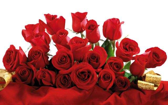 Цветы живые, фотообои 0069 Цветы живые - фото 0069