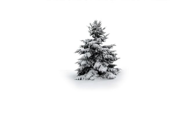 Новый год 2013, фотообои 0616 Новый год 2013 - фото 0616