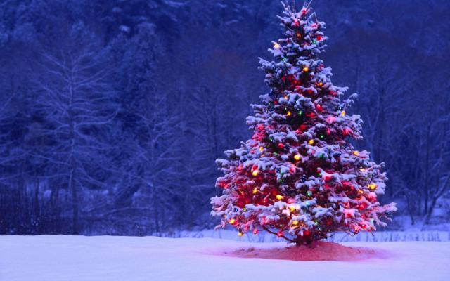Новый год 2014, фотообои 0705 Новый год 2014 - фото 0705