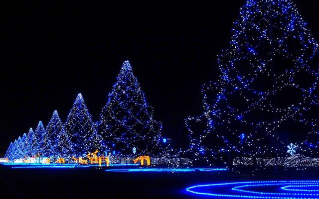 Новый год 2015, фотообои 0810 Новый год 2015 - фото 0810