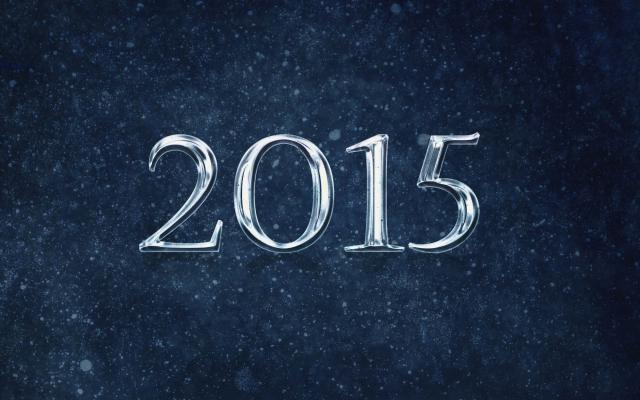 Новый год 2015 - фото 0837